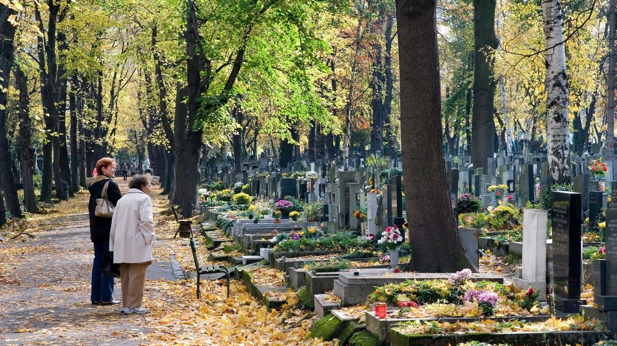 Umění na Olšanech, hřbitovy jako galerie pod širým nebem